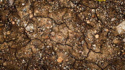 Cracked soil due to long dry season and drought. The ground cracks, hot climate, lack of moisture. Global warming, crop failure, climate change. Dry land background.