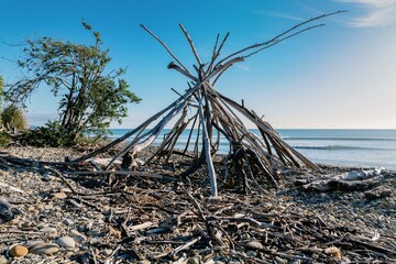 Driftwood scupture on the beach at  Kina Beach, Tasman, New Zealand.