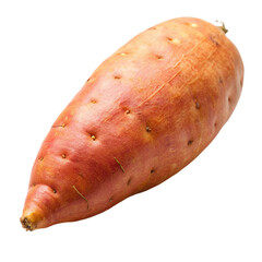 A fresh sweet potato Isolated on transparent background