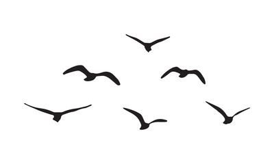 Flying Birds Vector And Illustration. 