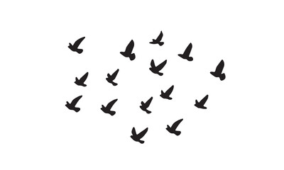 Flying Birds Vector And Illustration. 