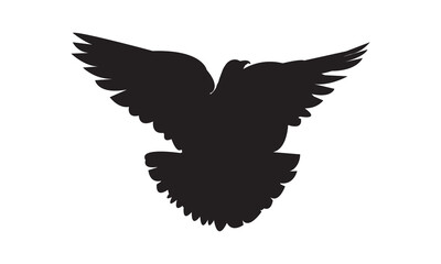 Flying Birds Vector And Illustration. 