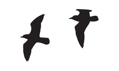 Flying Birds Vector And Illustration. 