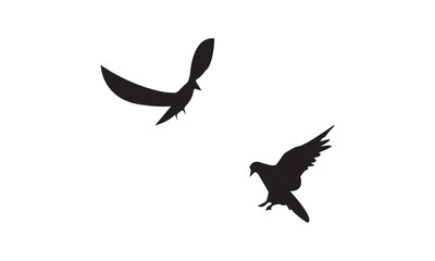 Flying Birds Vector And Illustration. 