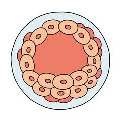 Blastocyst draw