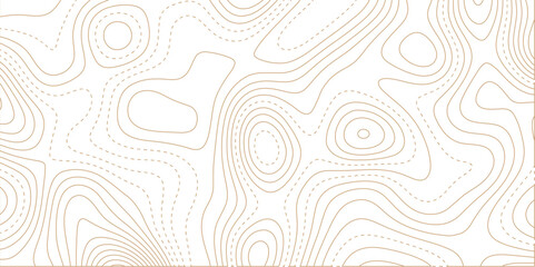 abstract white wave paper curved reliefs background. Topography map pattern, Geographic curved, vector illustration. Vector illustration. Line topography map contour background. 