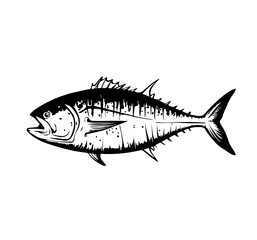 Tuna tunny fish sketch engraving vector illustration. T-shirt apparel print design. Scratch board imitation. Black and white hand drawn image.