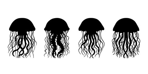 a black and white image of a jellyfish with a black outline. © designpixa