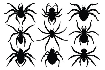 Set of Banana Spider animal black silhouette vector on white background