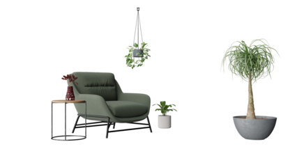 a chair and a plant in a room