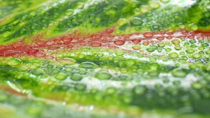 The captivating beauty of tiny water drops on glistening wet green red leaves in this stunning...