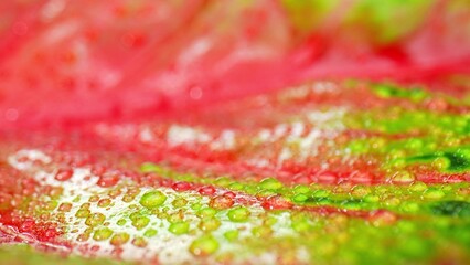 Exquisite showcases the stunning details of water droplets delicately resting on A macro captures...