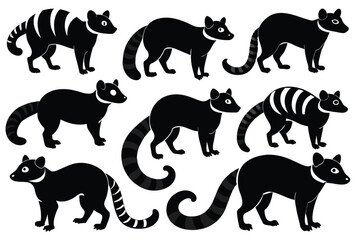 Set of Banded Palm Civet animal black silhouette vector on white background