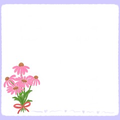 coneflower background