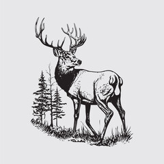 pencil drawing of deer vector