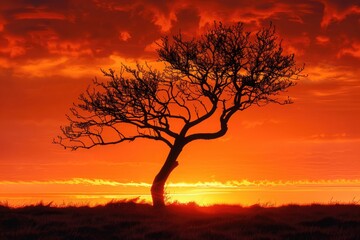 A lone tree silhouetted against a fiery sunset, its branches reaching out like tendrils of flame.