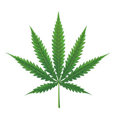 Simple Cannabis Leaf Design on Transparent Background