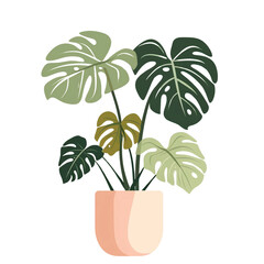 Simple Flat Design Monstera Plant in Pastel Colors on Transparent Background
