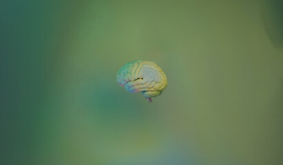 brain illustration of pastel colours on a gradient background