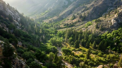 Little cottonwood canyon outside salt lake forest along the side