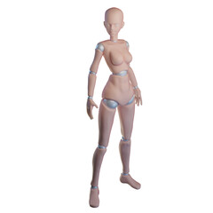 body human 3d mesh base
