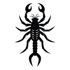 Solid color Bark Scorpion vector on white background