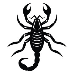 Solid color Bark Scorpion vector on white background