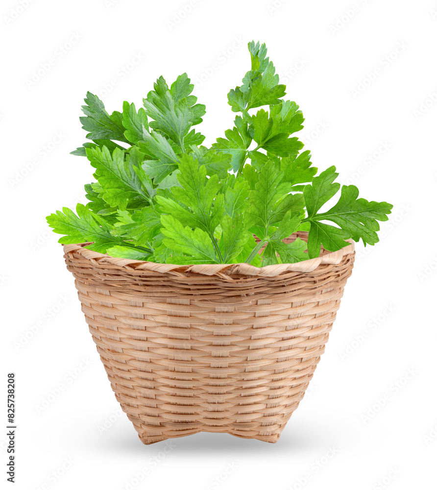 Wall mural Parsley in basket isolated on transparent png