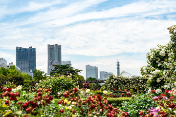 5月の横浜の風景