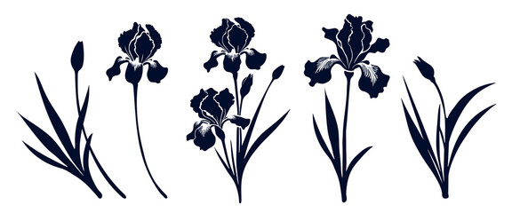 Set of iris flowers with leaves. Flower silhoutte. Vector illustration	