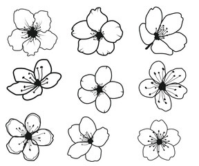 Print Cherry blossom, Sakura flowers  Design, Cherry flowers clipart, Spring flowers for Cricut, Blooming tree, Cherry blossom EPS