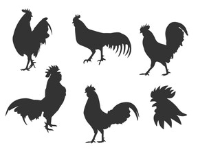 Print Rooster, Rooster Silhouette,  Rooster Design, Vector Cut file for Cricut, Silhouette, EpsDecal, Sticker,