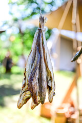 Smoked or grilled fish from the barbecue, dried fish, stockfish like the Vikings in Scandinavia at...