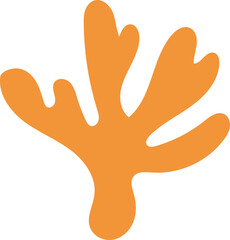 Obraz premium 산호초 Coral