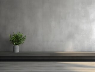 Minimalist Concrete Wall Decor in Modern Empty Interior Space description:This image showcases a minimalist and modern interior setting with a plain