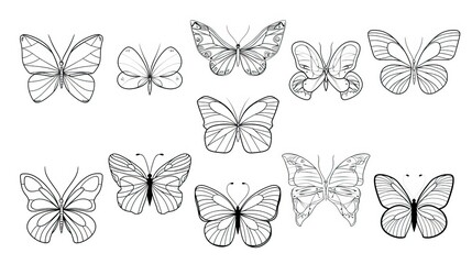Fototapeta premium Butterfly continuous line drawing elements set isolated on white background, butterflies design, butterfly drawing