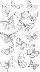 Fototapeta premium Butterfly continuous line drawing elements set isolated on white background, butterflies design, butterfly drawing