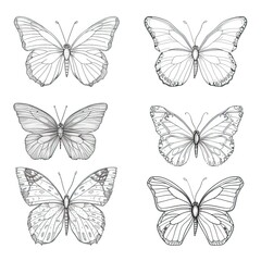 Butterfly continuous line drawing elements set isolated on white background, butterflies design, butterfly drawing