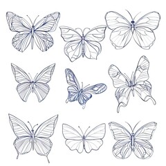 Fototapeta premium Butterfly continuous line drawing elements set isolated on white background, butterflies design, butterfly drawing