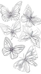 Obraz premium Butterfly continuous line drawing elements set isolated on white background, butterflies design, butterfly drawing