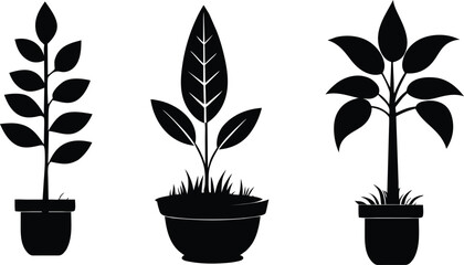 Print © Md Abdullah 2024