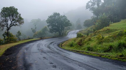 Fototapeta premium A winding road disappearing into misty rain, evoking a sense of mystery and adventure in the wet season.