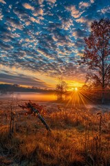 A sunrise over a field with trees and mist.