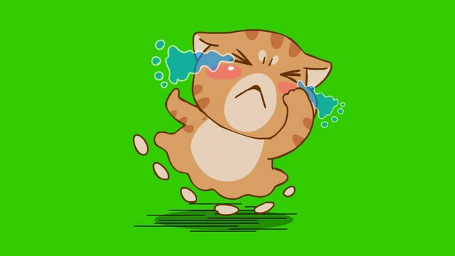 Animated Chubby Cat Crying and Running - Green Screen