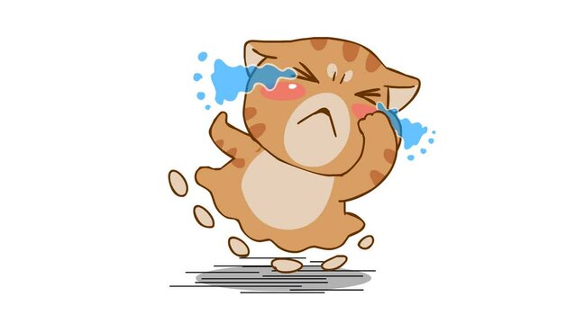 Animated Chubby Cat Crying and Running - White Background