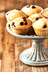 Muffins on bright wooden background. Close up. Copy space.
