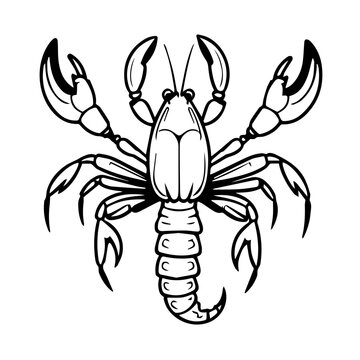 recommend clip art: crayfish vector design logo illustration for insect 