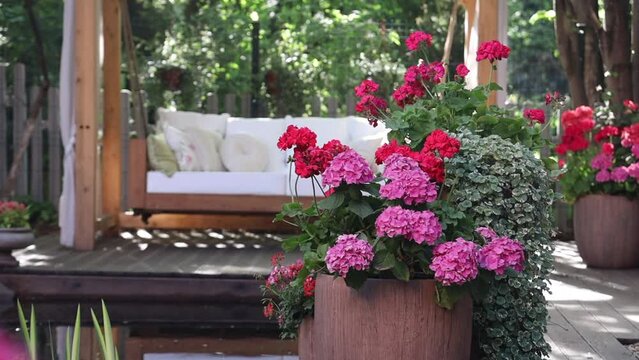 garden swing with white cushions on the summer veranda, which is decorated with vases with pink flowers 