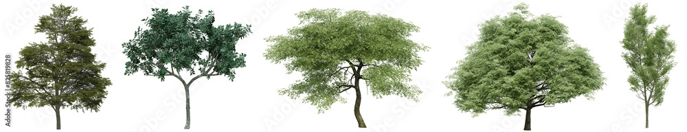 Poster collection of realistic woods trees with isolated on transparent background. png file, 3d rendering 
