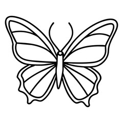 butterfly drawing outline on transparent background